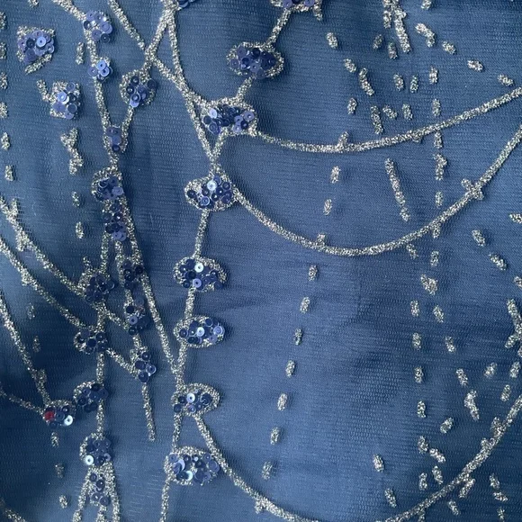 Full Length Navy Glitter Tulle and Satin Gown - Picture 4 of 16